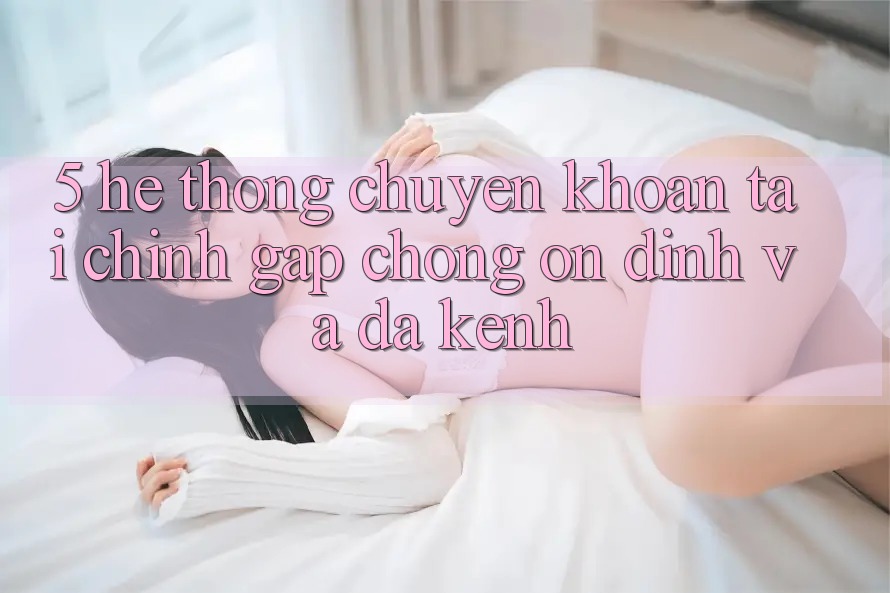 5. Hệ thống chuyển khoản tài chính: Gấp chóng, ổn định và đa kênh