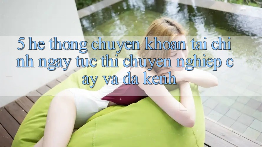 5. Hệ thống chuyển khoản tài chính: Ngay tức thì, chuyên nghiệp cậy và đa kênh 5. Hệ thống chuyển khoản tài chính: Ngay tức thì, chuyên nghiệp cậy và đa kênh