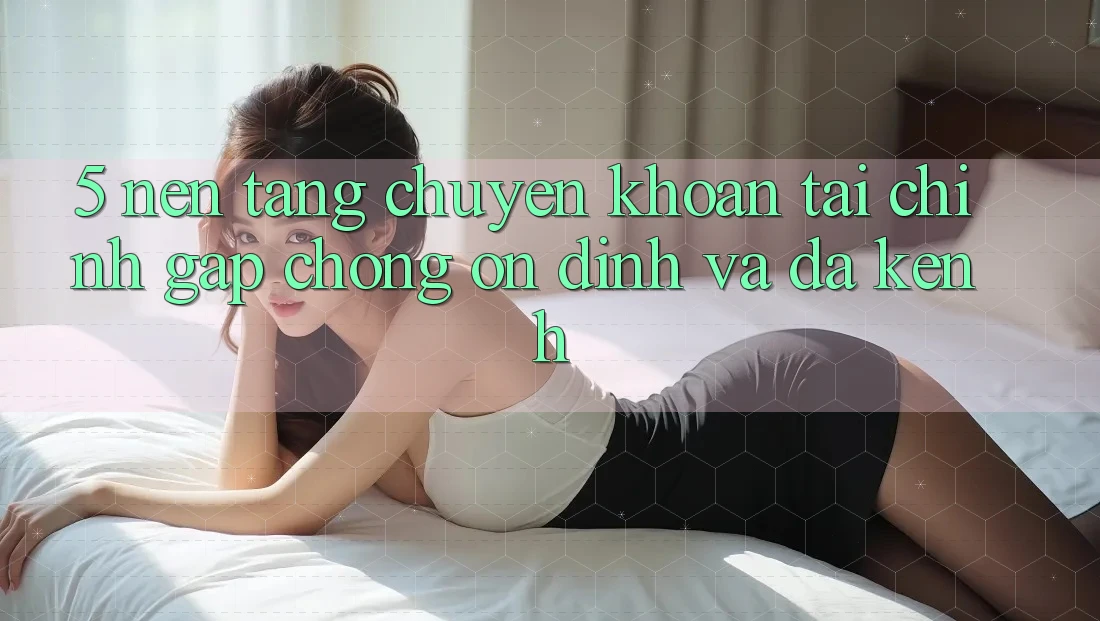 5. Nền tảng chuyển khoản tài chính: Gấp chóng, ổn định và đa kênh