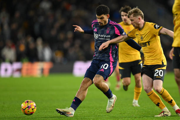 将努贝尔无 将努贝尔无