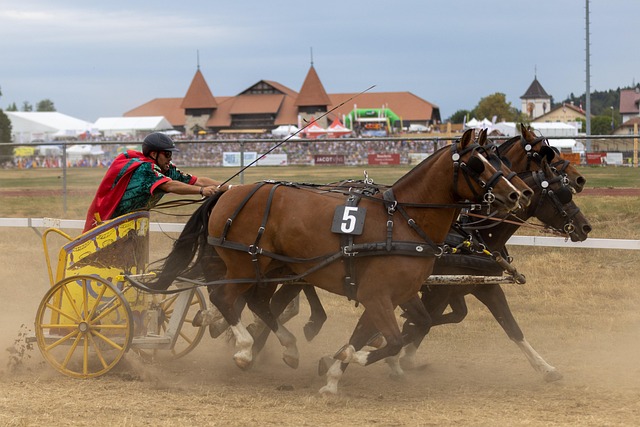 引领着球队 引领着球队